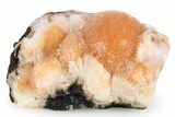 Vibrant Peach Thomsonite on Basalt - India #382283-1
